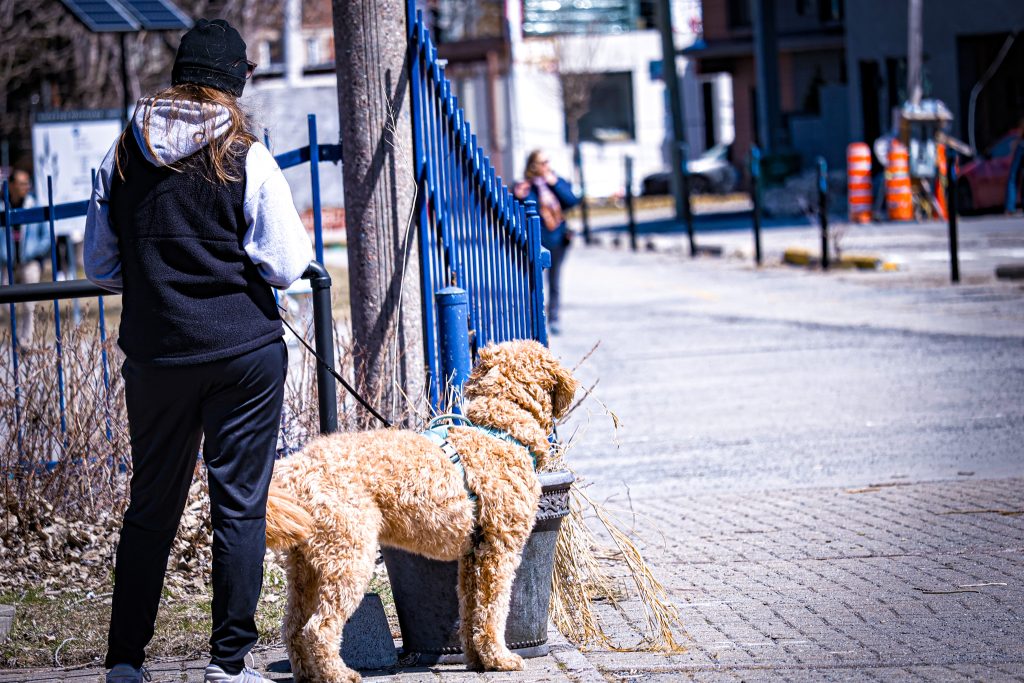 Lachine canal photography