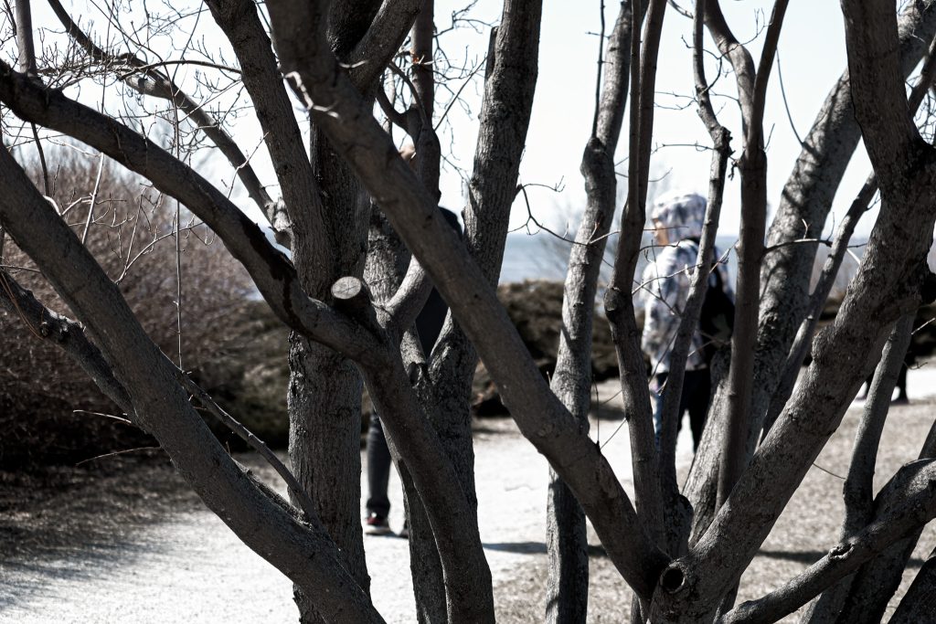 Lachine canal photography