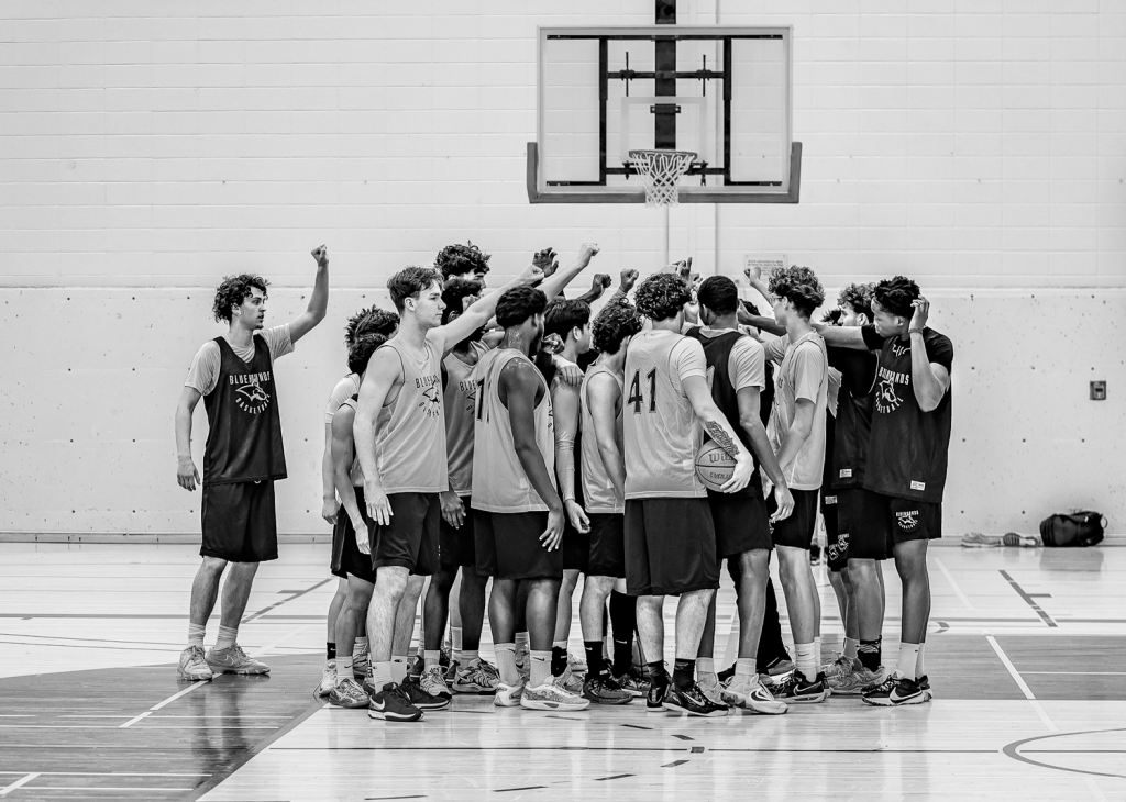 Bluehounds basketball Montreal