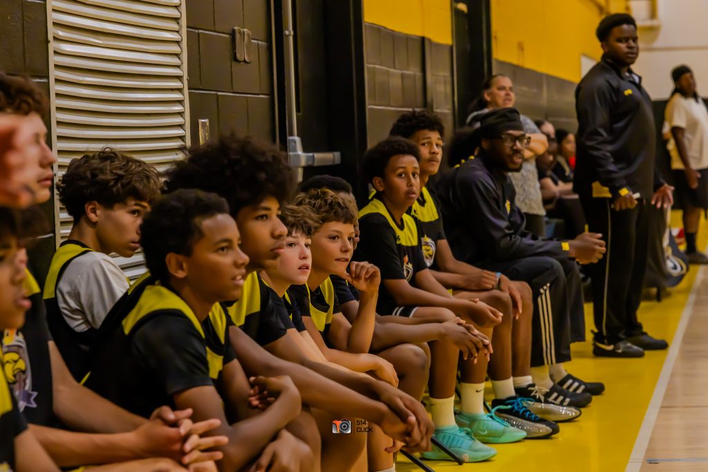 DV ELITE