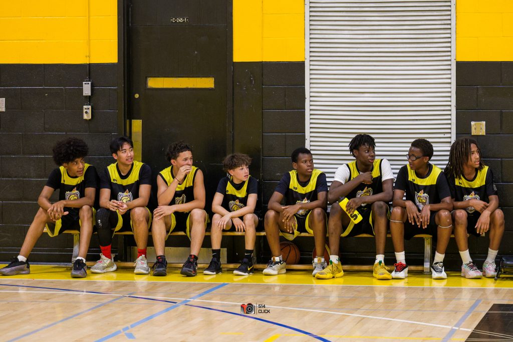 DV ELITE